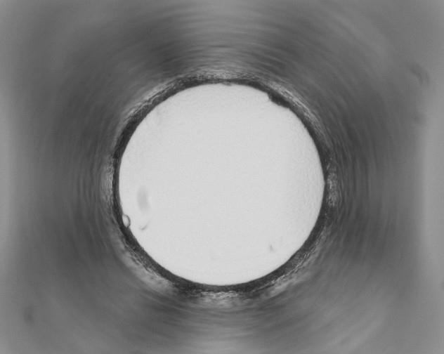 X0000110920446200907301606