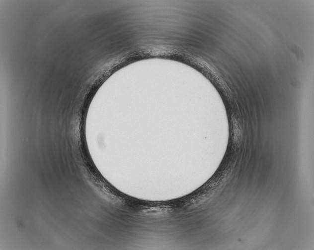 X0000110920447200907301606