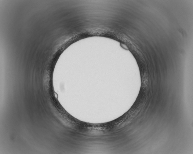 X0000110920448200907301606