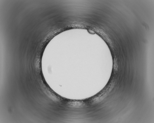 X0000110920449200907301606