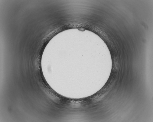 X0000110920450200907301606