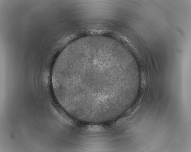 X0000110920451200907301606