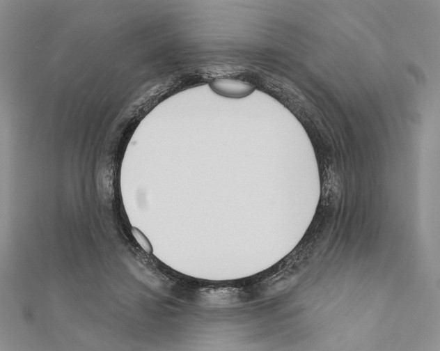 X0000110920452200907301606