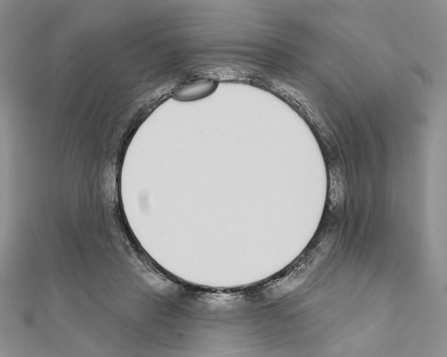 X0000110920453200907301606