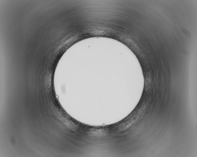 X0000110920454200907301606