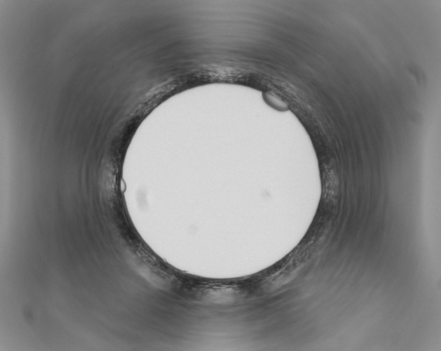 X0000110920456200907301606