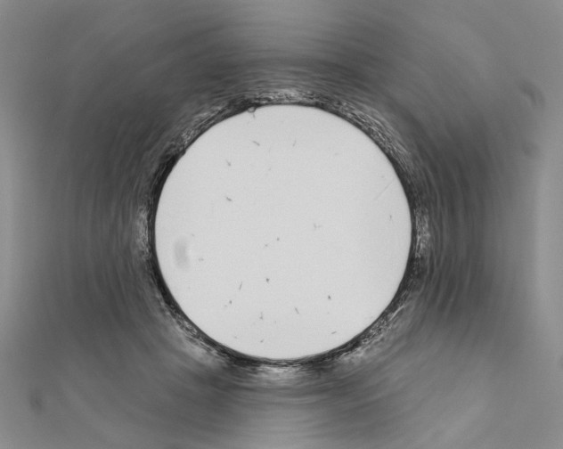 X0000110920457200907301606