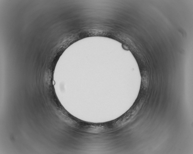 X0000110920458200907301606