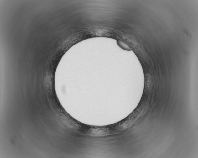 X0000110920461200907301606