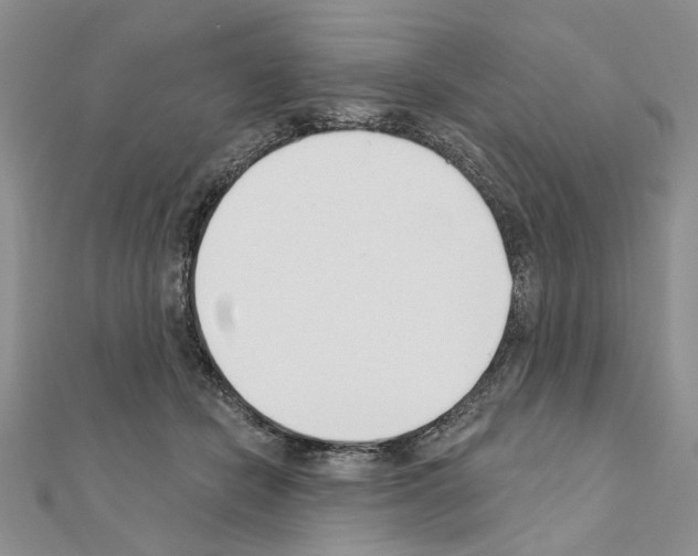 X0000110920462200907301606