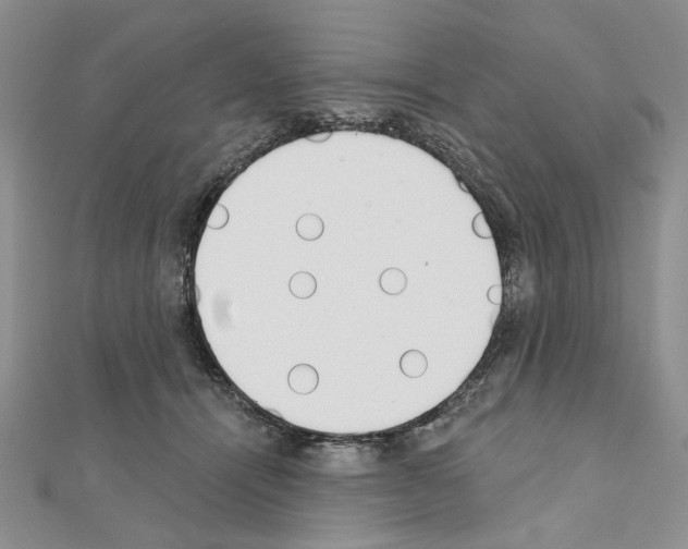 X0000110920464200907301606