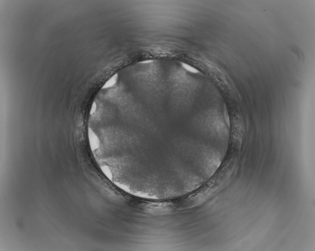 X0000110920465200907301606