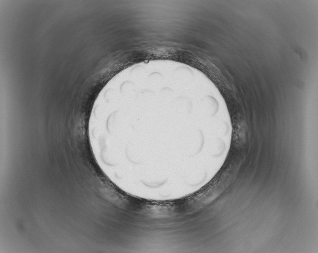 X0000110920466200907301606