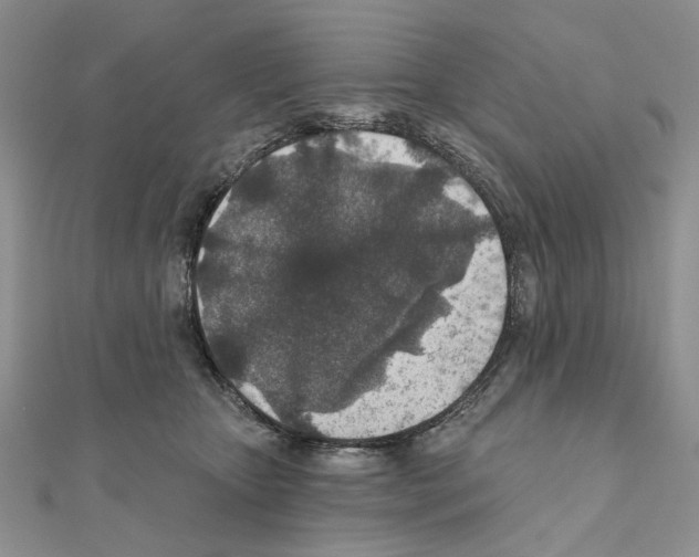 X0000110920467200907301606