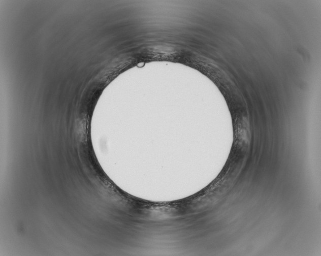 X0000110920468200907301606