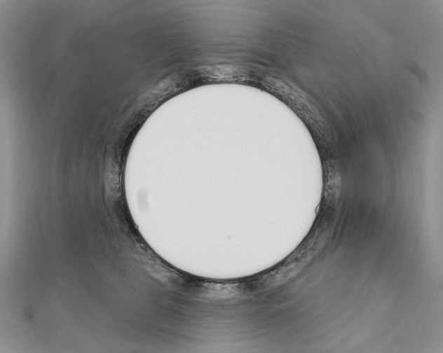 X0000110920469200907301606