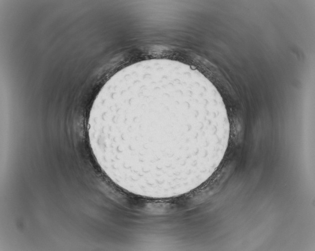 X0000110920470200907301606