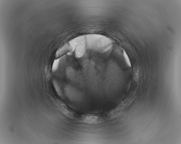 X0000110920471200907301606