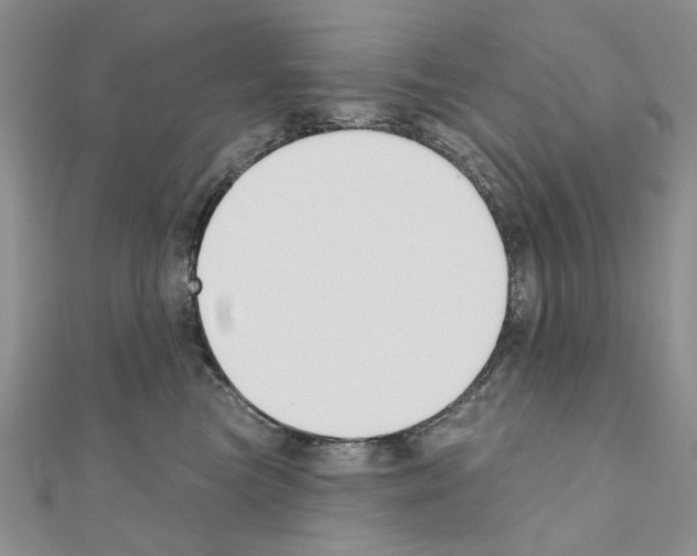 X0000110920473200907301606
