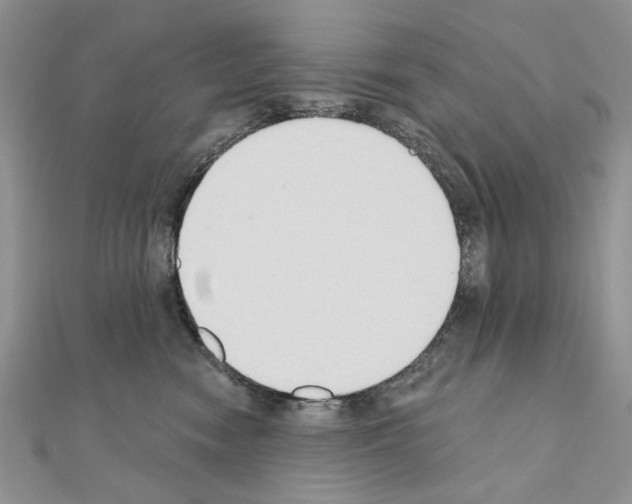 X0000110920474200907301606