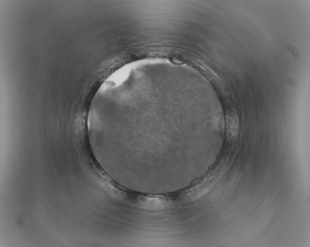 X0000110920475200907301606