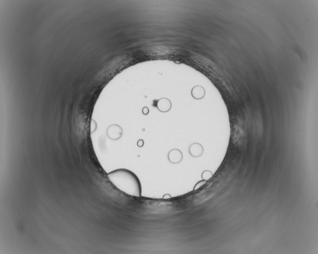 X0000110920476200907301606