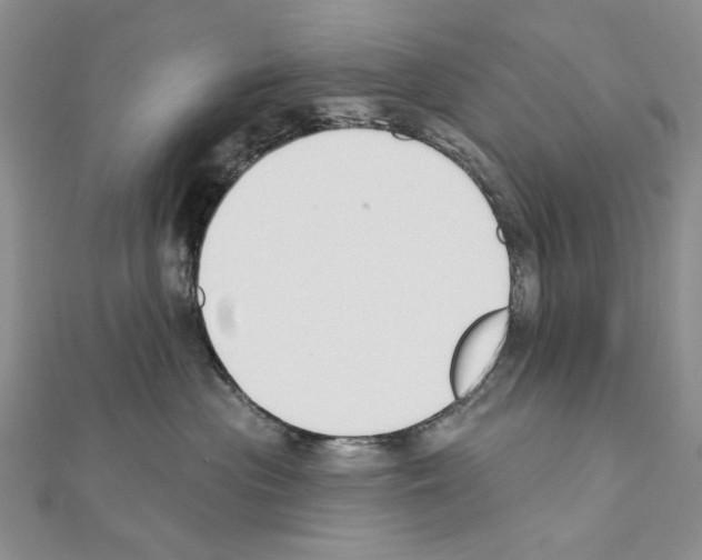 X0000110920477200907301606