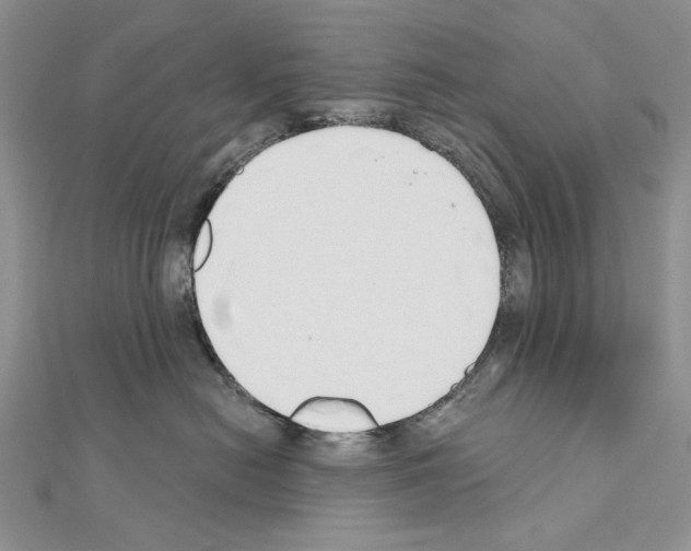 X0000110920478200907301606