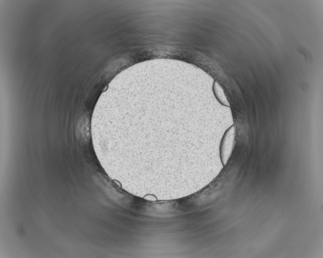 X0000110920479200907301606