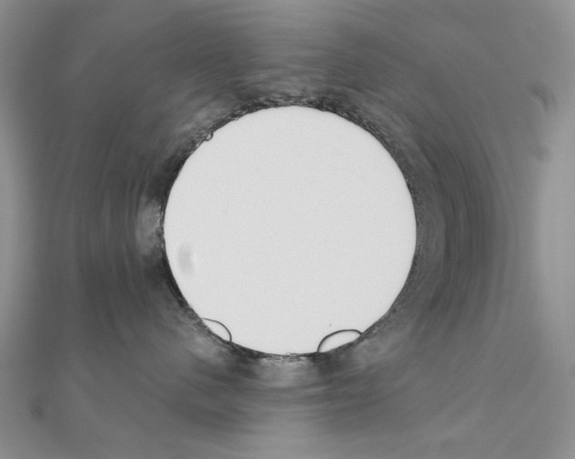 X0000110920480200907301606
