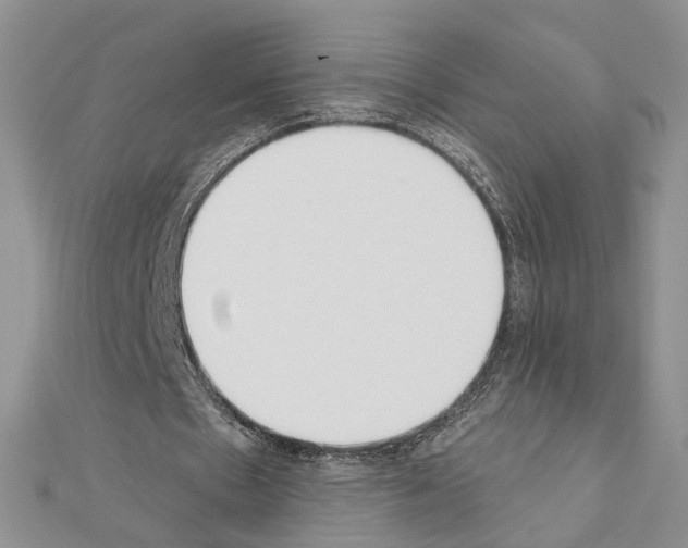 X0000110920481200907301606