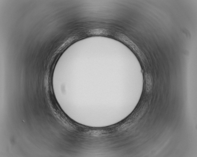 X0000110920482200907301606