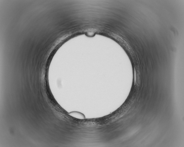 X0000110920483200907301606