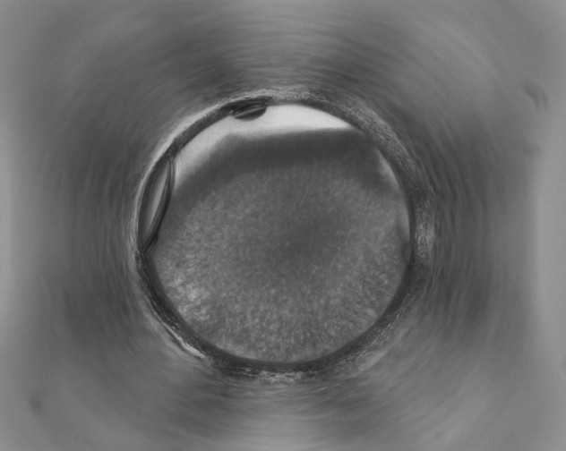 X0000110920484200907301606