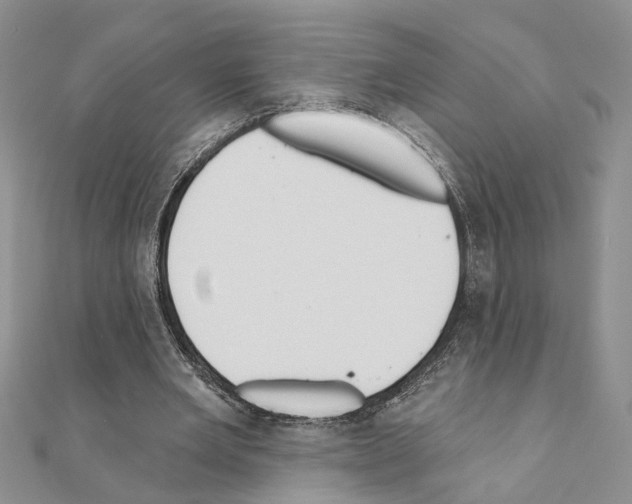 X0000110920485200907301606