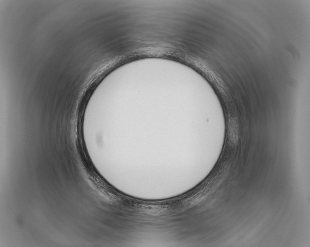 X0000110920486200907301606
