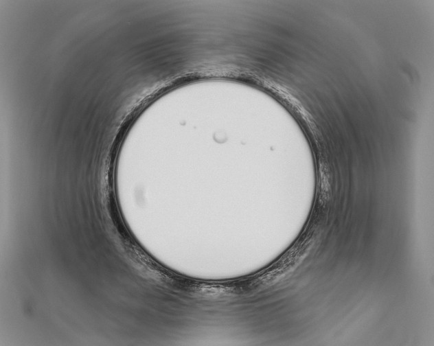 X0000110920487200907301606