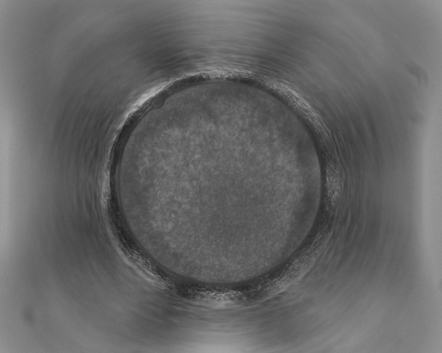X0000110920488200907301606