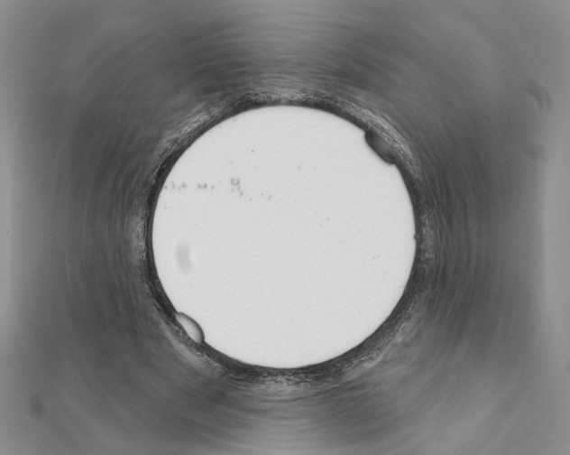 X0000110920489200907301606