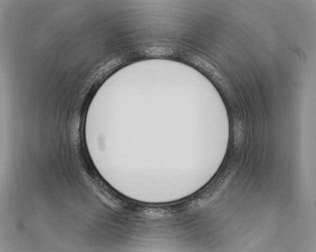 X0000110920490200907301606