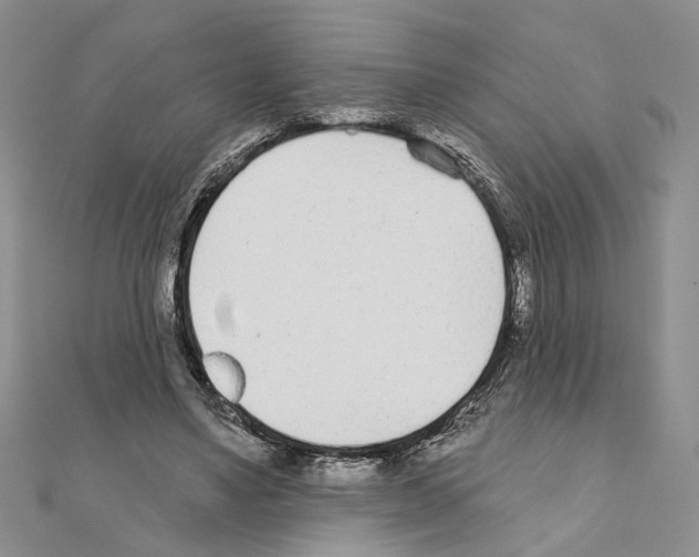 X0000110920491200907301606