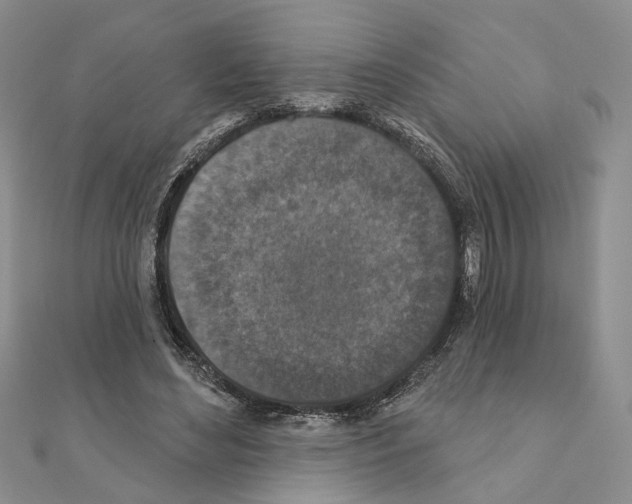 X0000110920492200907301606