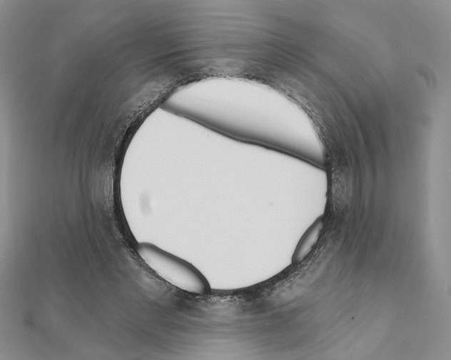 X0000110920493200907301606