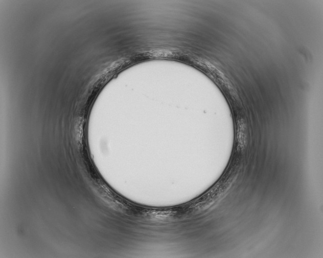 X0000110920495200907301606