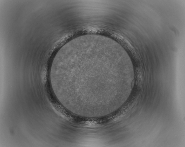 X0000110920496200907301606