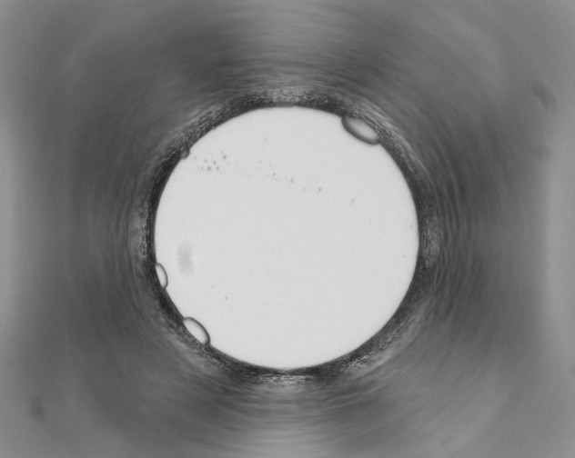 X0000110920497200907301606