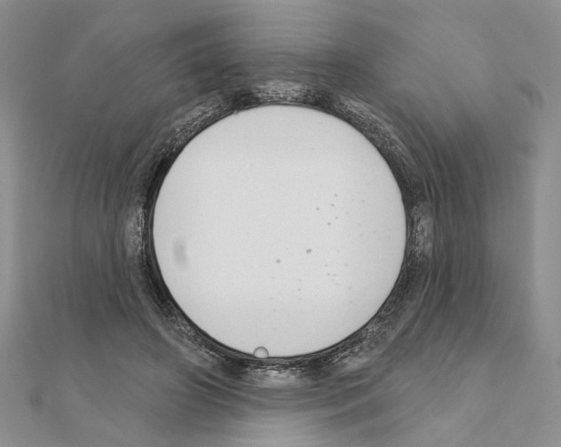 X0000110920498200907301606