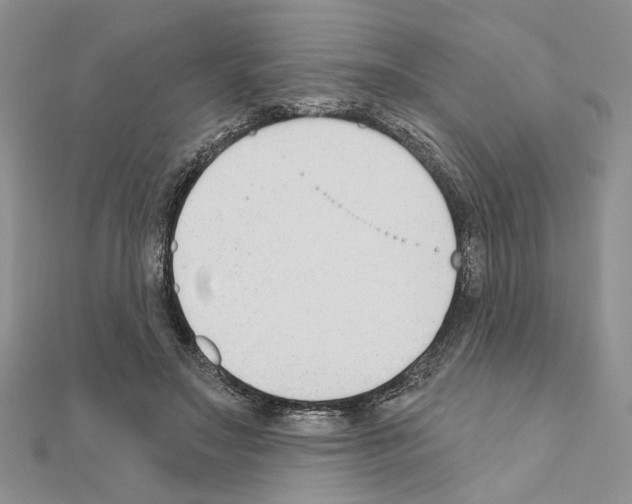 X0000110920499200907301606
