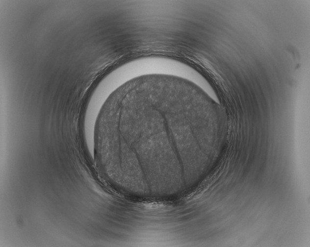 X0000110920500200907301605