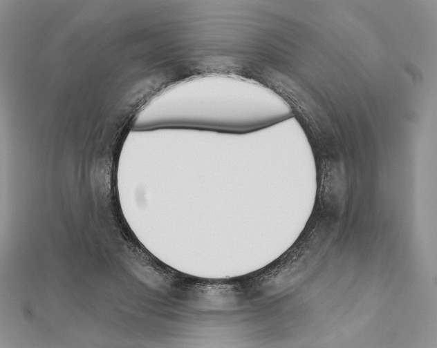 X0000110920501200907301605